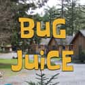 Bug Juice on Random Best Disney Shows of the '90s