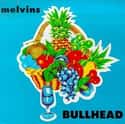Bullhead on Random Best Melvins Albums