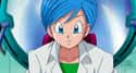 Bulma on Random Dragon Ball Character You Are, According To Your Zodiac Sign