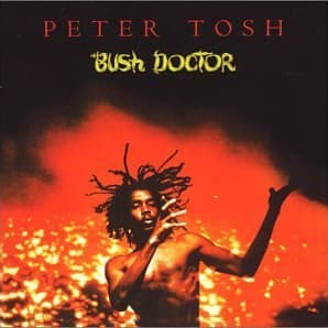 The Best Peter Tosh Albums, Ranked By Fans