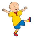 Caillou on Random Most Annoying Kids Shows