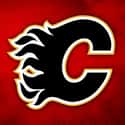 Calgary Flames on Random Best NHL Teams