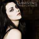Weight of the World on Random Best Evanescence Songs