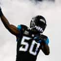 Telvin Smith on Random Best Jacksonville Jaguars