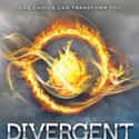 Divergent on Random Young Adult Novels That Should Be Adapted to Film