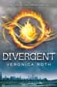 Divergent on Random Best Young Adult Fantasy Series
