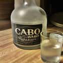 Cabo Wabo on Random Best Top-Shelf Tequila Brands