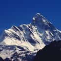 Nanda Devi Biosphere Reserve on Random Top Must-See Attractions in India