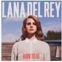 Born to Die on Random Best Lana Del Rey Albums