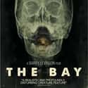 The Bay on Random Most Horrifying Found-Footage Movies