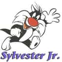 Sylvester Jr. on Random Best Looney Tunes Characters