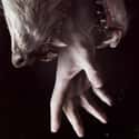 Hemlock Grove on Random Best Supernatural Thriller Series