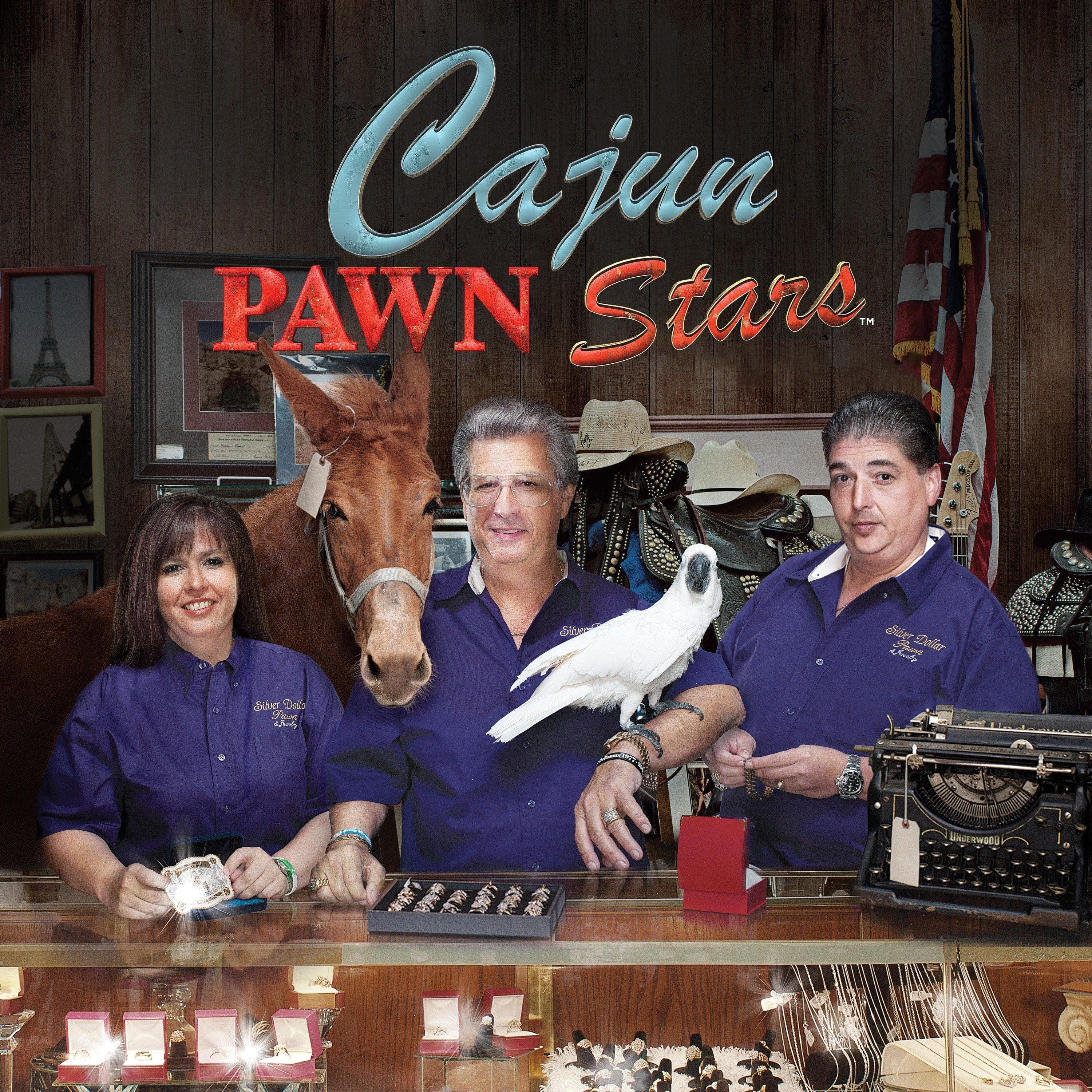 Movies & TV Shows Like Pawn Stars All Fans Should Check Out