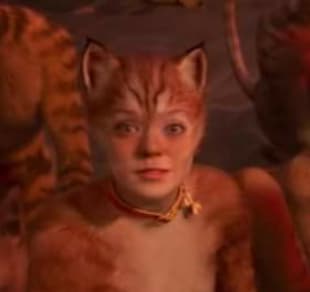 The 'Cats' Musical Characters, Ranked By Real-Life Adoptability