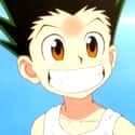 Gon Freecss on Random Greatest Anime Characters Who Are Only Children