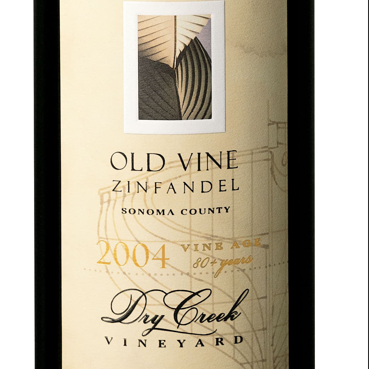 Zinfandel