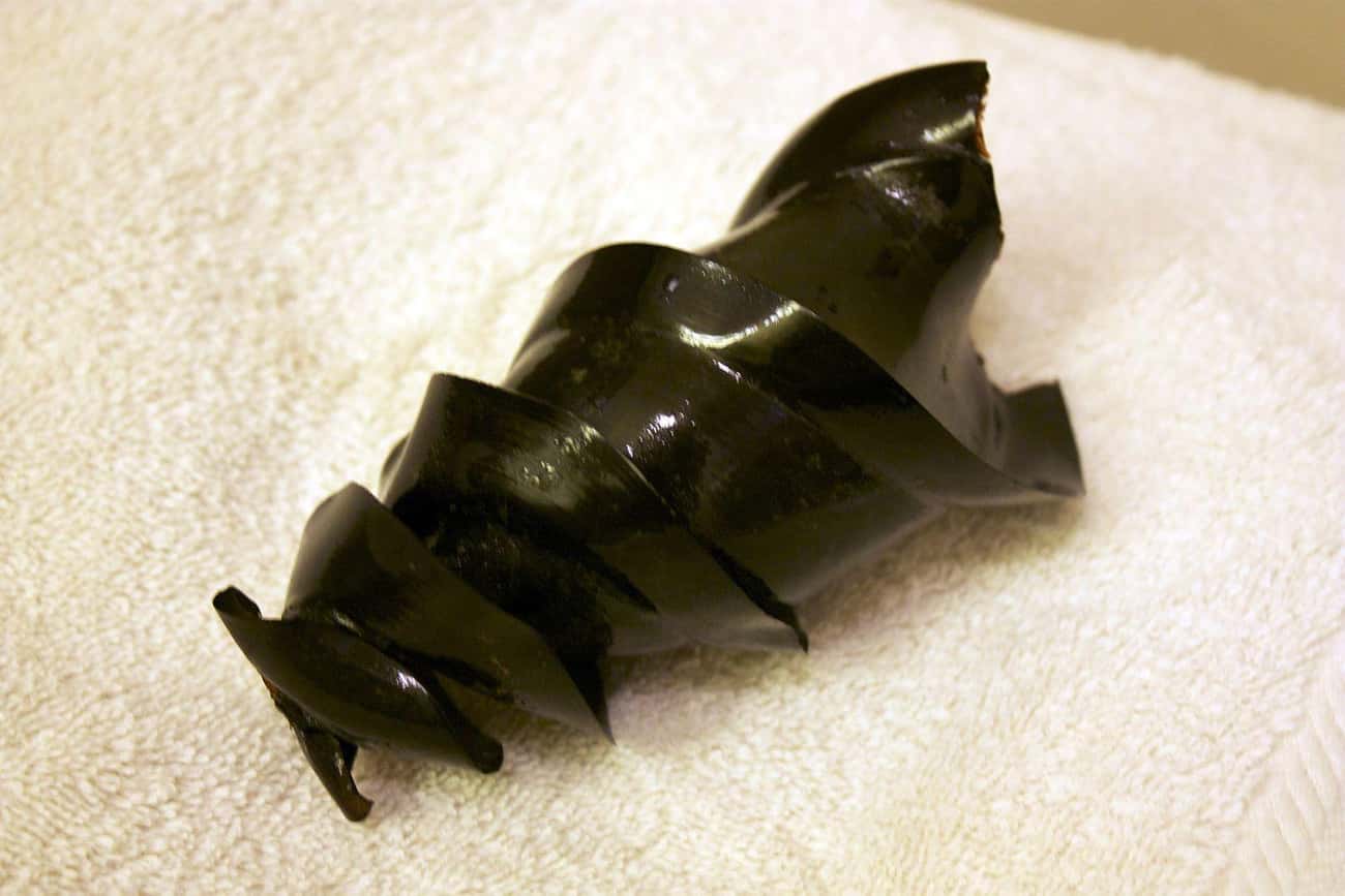 You Can Judge A Book By Its Cover Here, Horn Shark Eggs Are As Dangerous To Touch As They Look