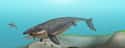 Mosasaurus on Random Most Horrifying Sea Monsters To Ever Terrorize Ocean