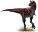 Carnotaurus on Random Most Bizarre Dinosaurs That Ever Existed