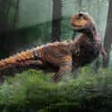 Carnotaurus on Random Scariest Types of Dinosaurs Ever to Walk the Earth