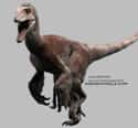 Utahraptor on Random Scariest Types of Dinosaurs Ever to Walk the Earth