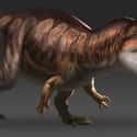 Giganotosaurus on Random Scariest Types of Dinosaurs Ever to Walk the Earth