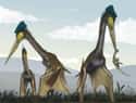 Quetzalcoatlus on Random Famous Prehistoric Animals You'll Be Surprised To Learn Aren't Actually Dinosaurs