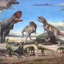 Rajasaurus on Random Scariest Types of Dinosaurs Ever to Walk the Earth
