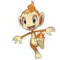 Chimchar is listed (or ranked) 390 on the list Complete List of All Pokemon Characters