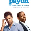 Psych - Season 6 on Random Best Seasons of 'Psych'