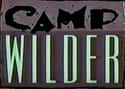 Camp Wilder on Random TGIF Sitcoms Couldn't Turn Into A Smash Hit
