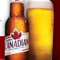 Canada on Random Countries with the Best Beer