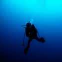 Canada on Random Best Countries for Scuba Diving