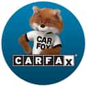Carfax on Random Best Used Car Websites