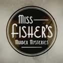 Miss Fisher's Murder Mysteries on Random Best Current Shows You Can Watch With Your Mom