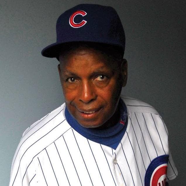 Celebrity Cub Fans Celebrities at Chicago Cubs Games