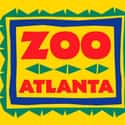 Zoo Atlanta on Random Best Zoos in the United States