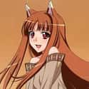 Holo on Random Best Anime Characters With Orange Hai