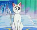 Artemis on Random Greatest Cats in Cartoons & Comics