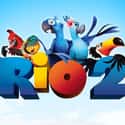 2014   Rio 2 is a 2014 animated comedy film written by Carlos Saldanha and Don Rhymer and directed by Carlos Saldanha.