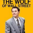 Leonardo DiCaprio, Matthew McConaughey, Margot Robbie   The Wolf of Wall Street is a 2013 American biographical black comedy film directed by Martin Scorsese.