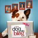 Dog With a Blog on Random Funniest Kids Shows