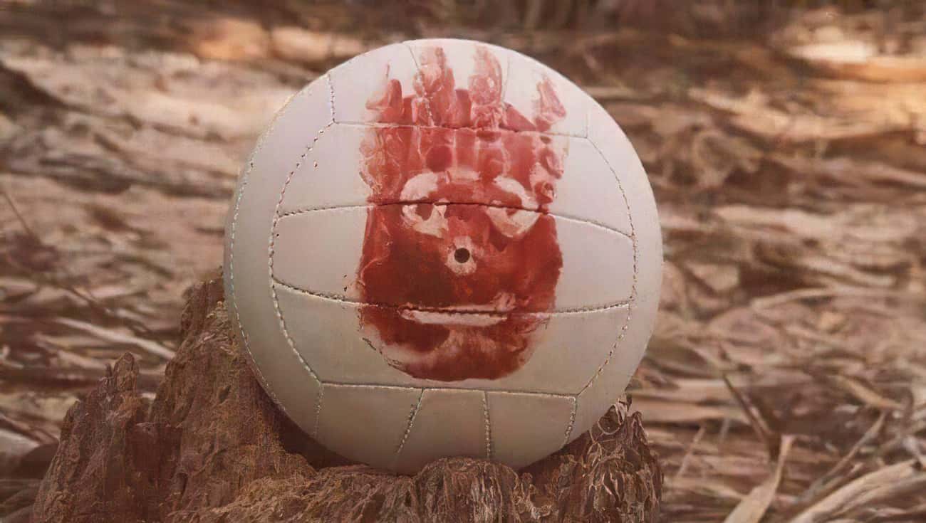 Wilson The Volleyball In 'Cast Away'