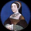 Catherine Howard on Random Henry VIII's Wives By Which One Would Be Best Wife