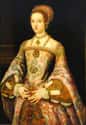 Catherine Parr on Random Henry VIII's Wives By Which One Would Be Best Wife