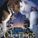 Cats & Dogs on Random Greatest Dog Movies
