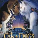 Alec Baldwin, Susan Sarandon, Jeff Goldblum   Released: 2001 Cats & Dogs is a 2001 American-Australian action-comedy film, directed by Lawrence Guterman.