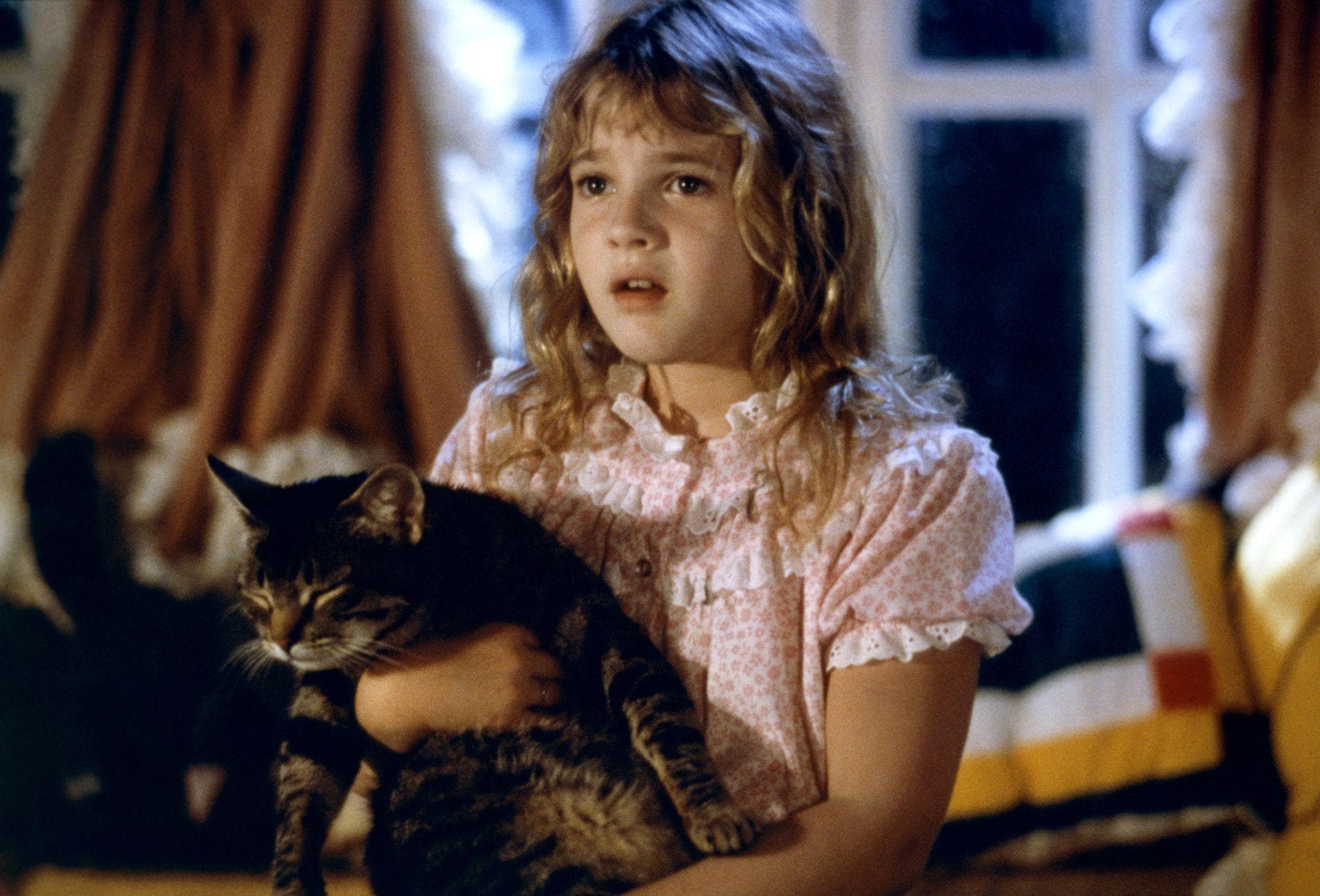 The 20 Best Scary Movies For 13YearOlds, Ranked