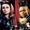 Catwoman on Random Best Re-Casting Of Famous TV Roles
