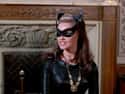 Catwoman on Random TV Characters Brought Back To Life Because Fans Got Pissed
